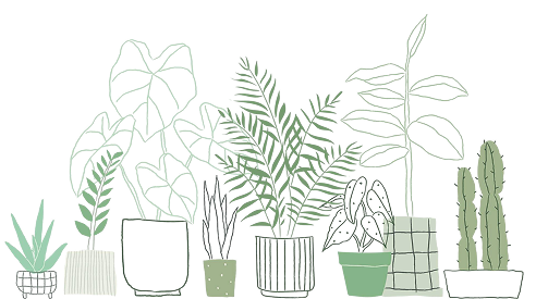 potted-plant-doodle-vector-background-with-blank-space 1