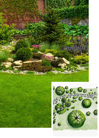 Softscape Landscaping Softscape Landscaping